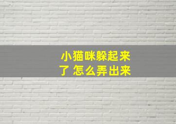 小猫咪躲起来了 怎么弄出来